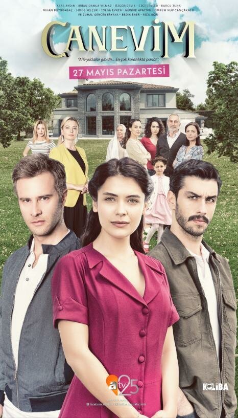 Турецкий сериал  Сокровенное (2019) 