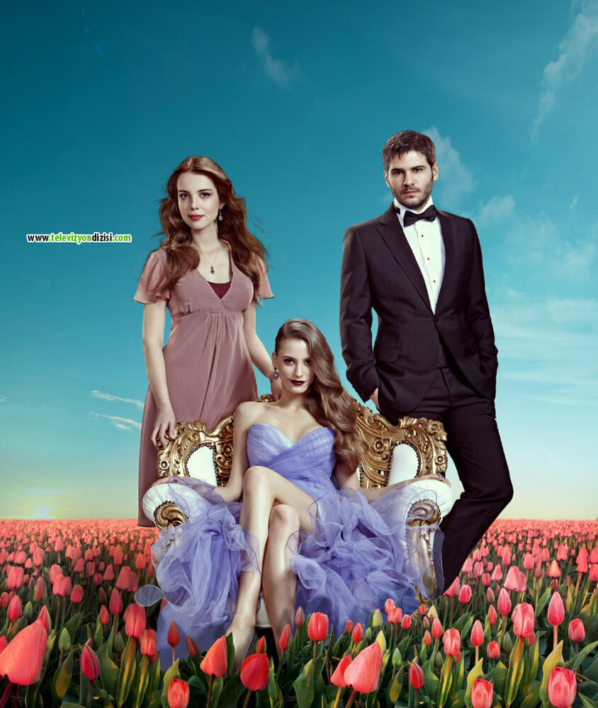 Турецкий сериал  Пора тюльпанов (2010) 